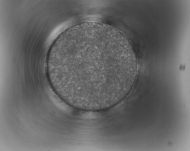 X0000113100293200909182145