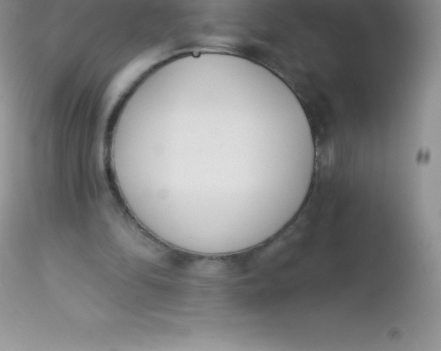 X0000113100294200909182145