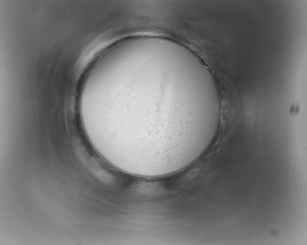 X0000113100296200909182145