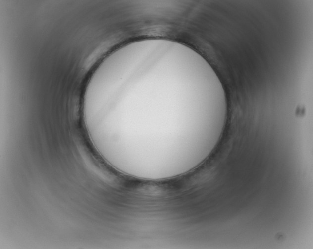 X0000113100299200909182144
