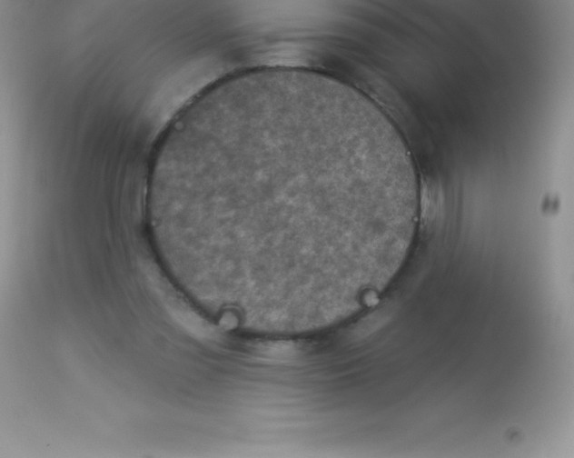 X0000113100301200909182144