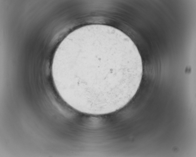 X0000113100302200909182144