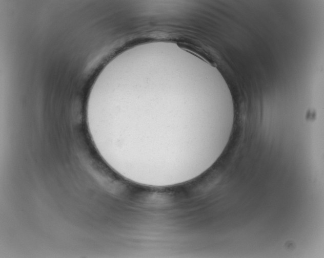 X0000113100303200909182144