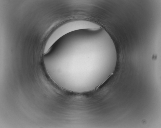 X0000113100304200909182144