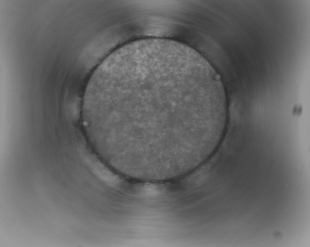 X0000113100305200909182144