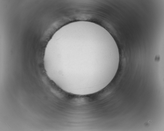 X0000113100307200909182144