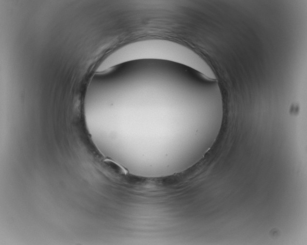 X0000113100308200909182144