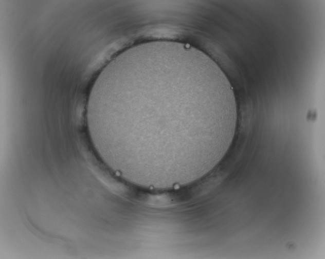 X0000113100309200909182144