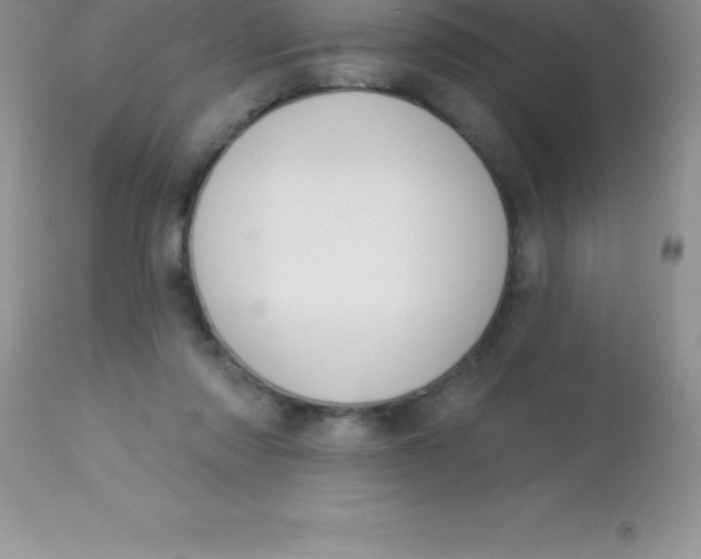 X0000113100310200909182144