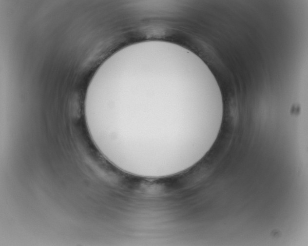 X0000113100311200909182144
