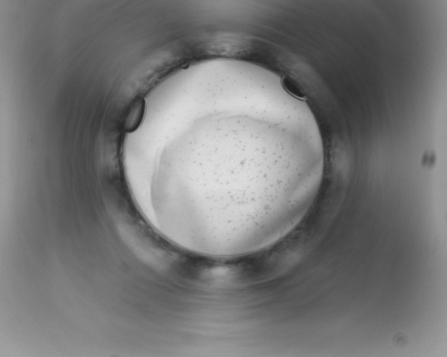 X0000113100312200909182144