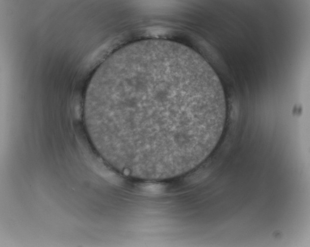 X0000113100313200909182144