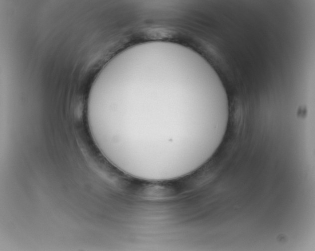 X0000113100315200909182144