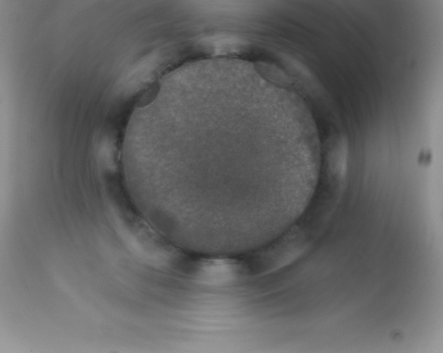 X0000113100316200909182144