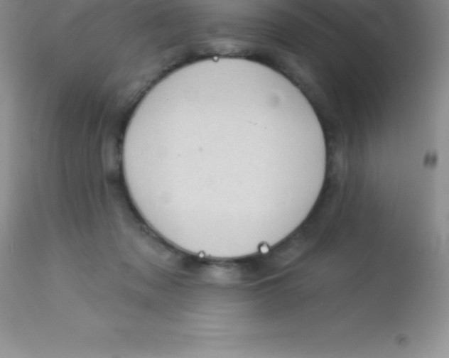 X0000113100317200909182144