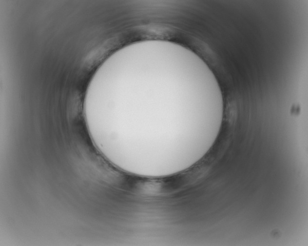 X0000113100318200909182144