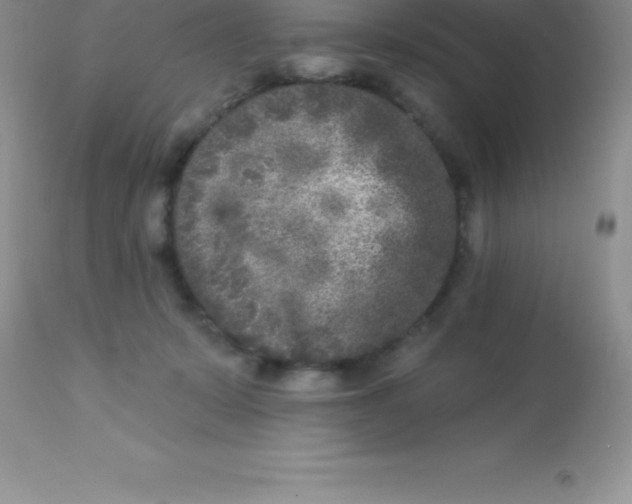 X0000113100319200909182144