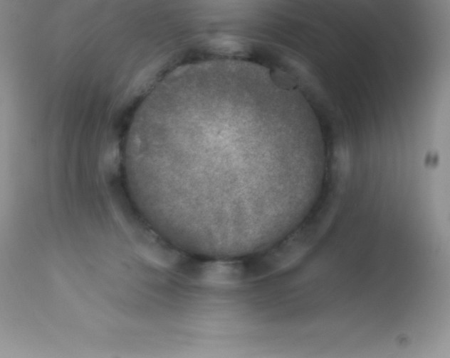X0000113100320200909182144