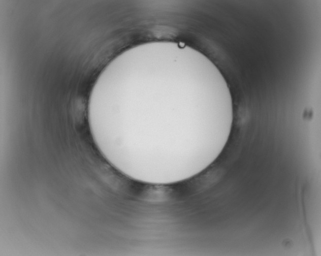 X0000113100321200909182144