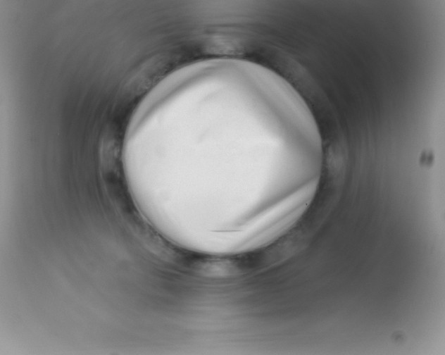 X0000113100322200909182144