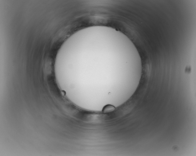 X0000113100323200909182144