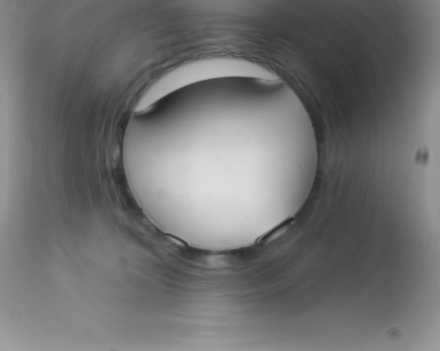 X0000113100324200909182144