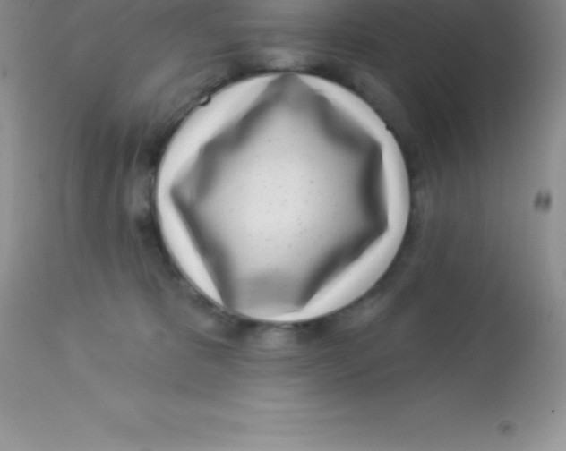 X0000113100325200909182144