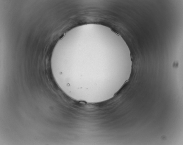 X0000113100327200909182144