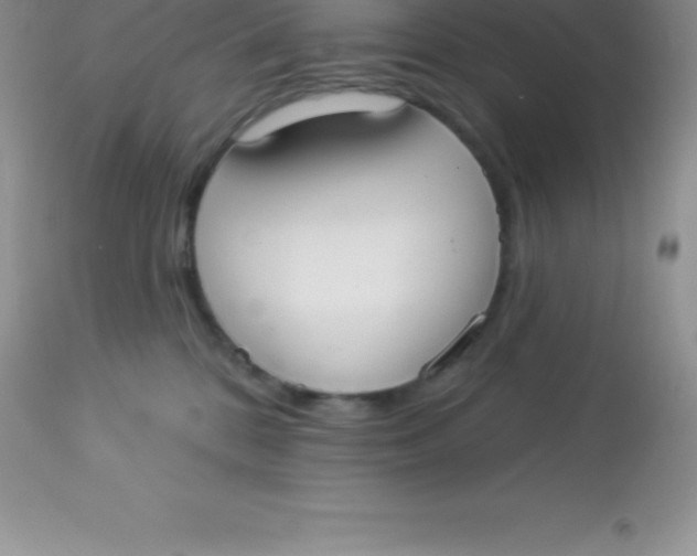 X0000113100328200909182144