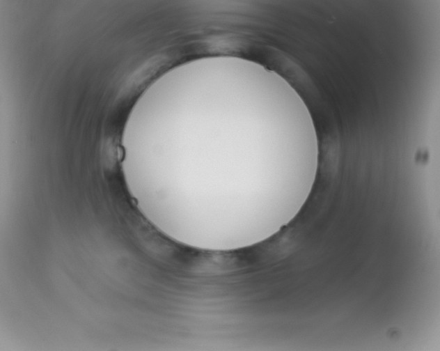 X0000113100329200909182144