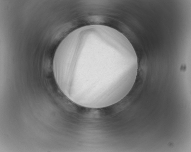X0000113100330200909182144