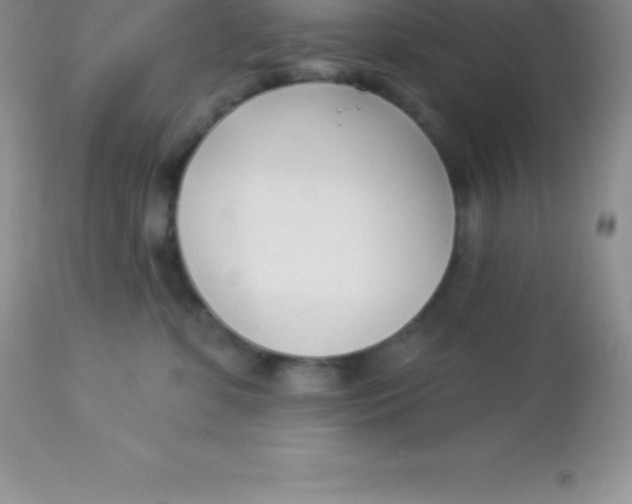 X0000113100331200909182144