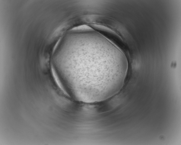 X0000113100332200909182144