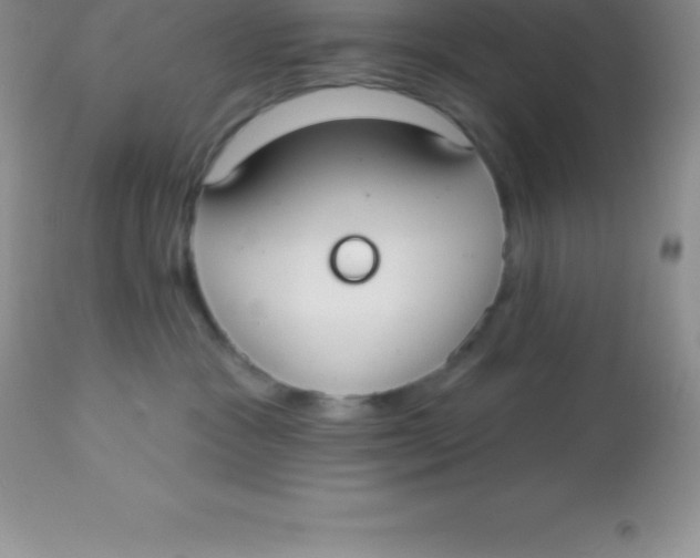 X0000113100333200909182144