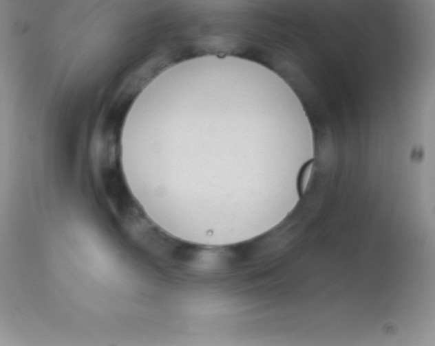 X0000113100334200909182144