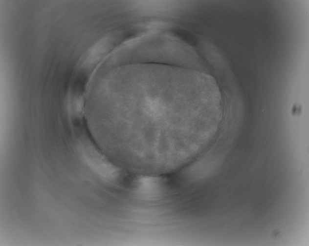 X0000113100336200909182144