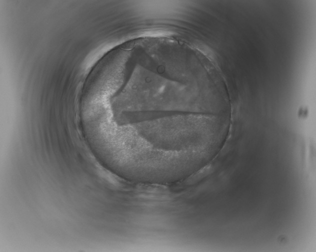 X0000113100337200909182143