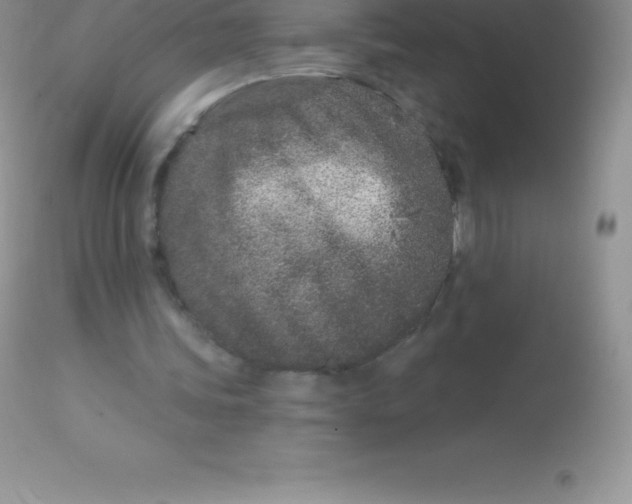 X0000113100339200909182143