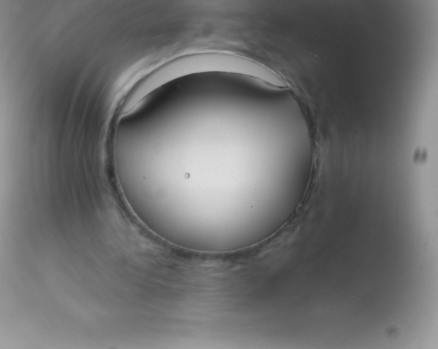 X0000113100340200909182143