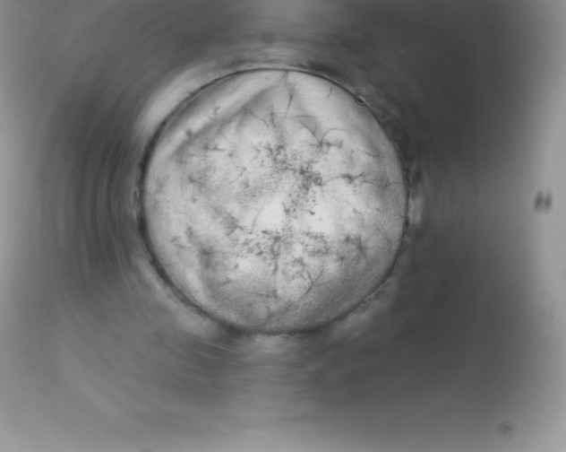 X0000113100341200909182143