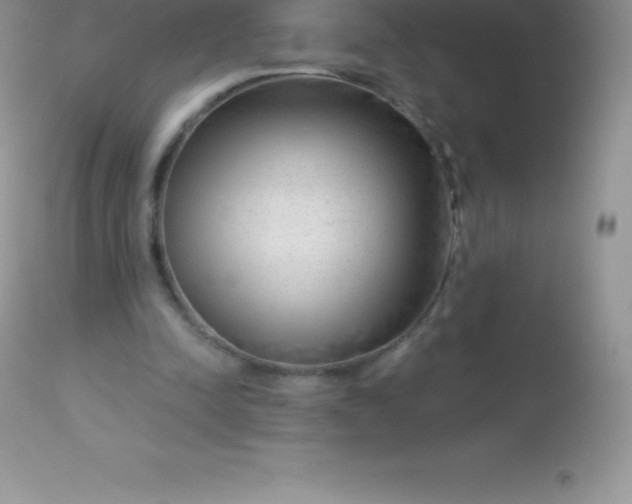 X0000113100342200909182143