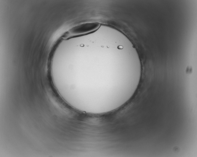 X0000113100344200909182143