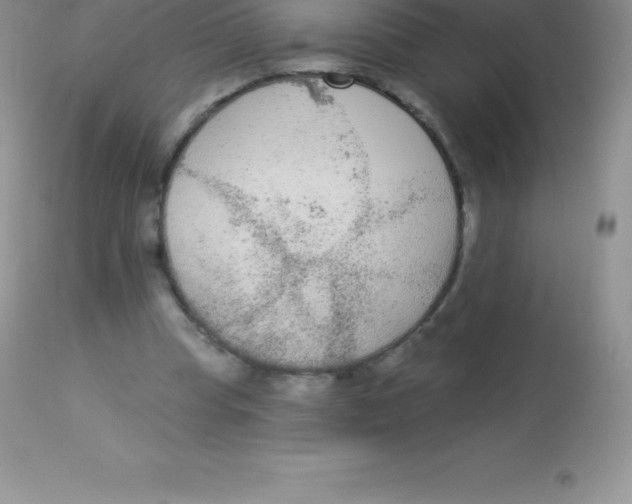 X0000113100345200909182143