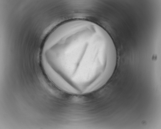 X0000113100346200909182143