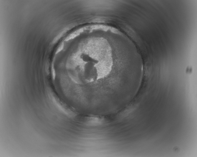 X0000113100347200909182143