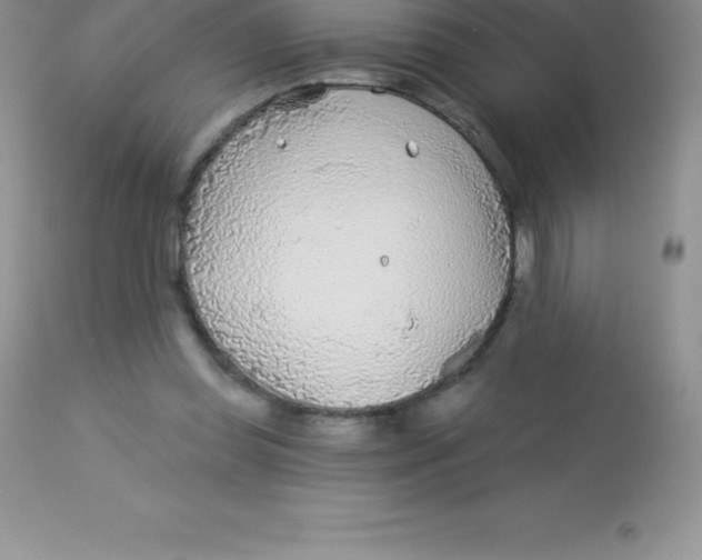 X0000113100349200909182143