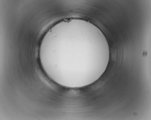 X0000113100350200909182143