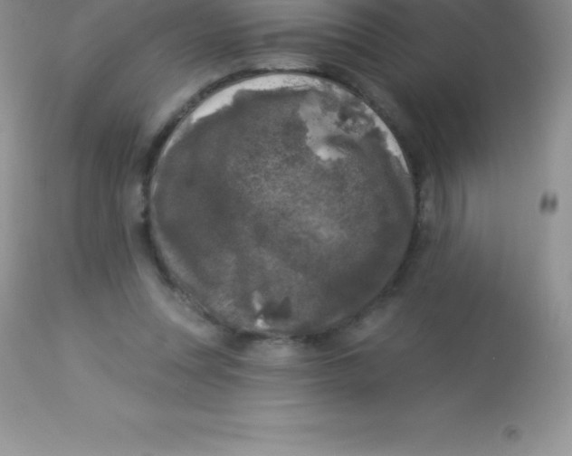 X0000113100351200909182143