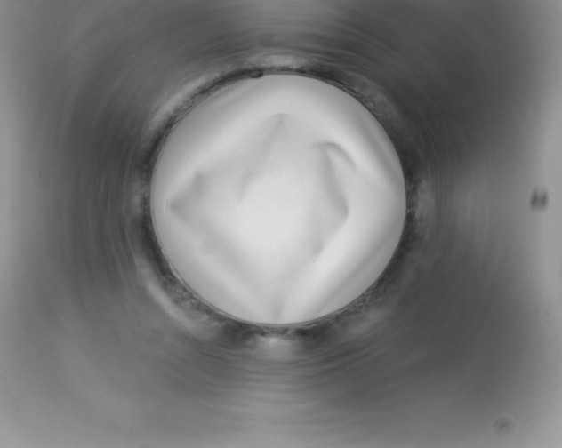 X0000113100352200909182144