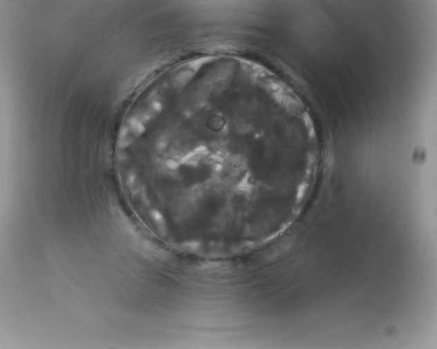 X0000113100353200909182144